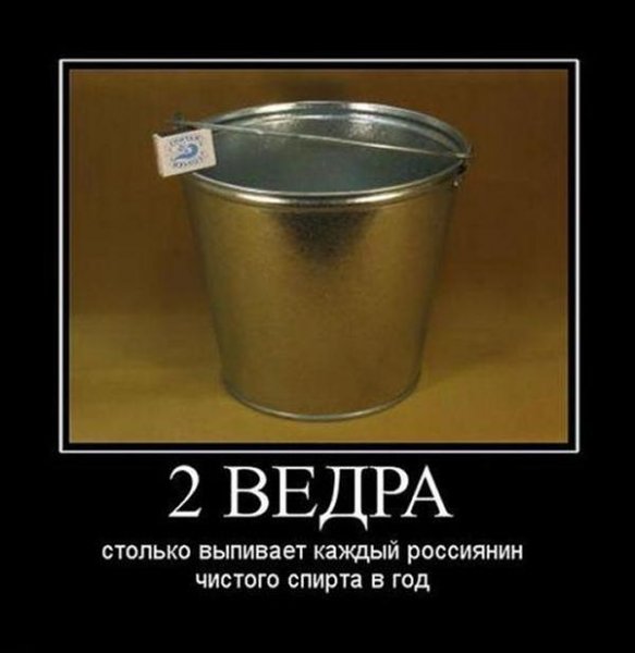 Прикольное ведро