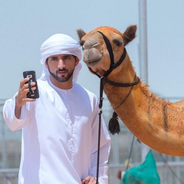Картинки смешные про арабов (52 фото)