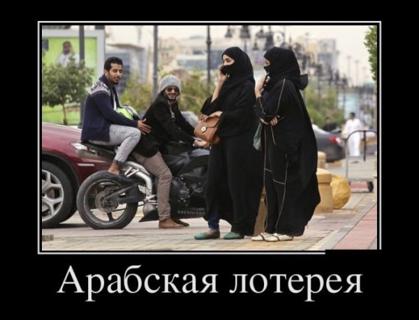 Араб прикол