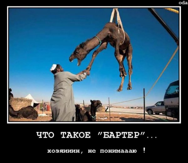 Демотиваторы про арабов