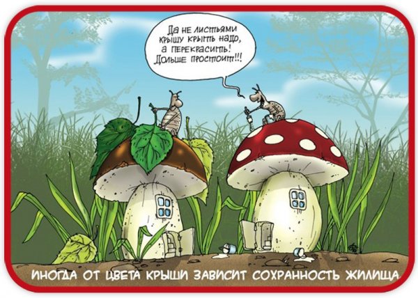 Грибник карикатура