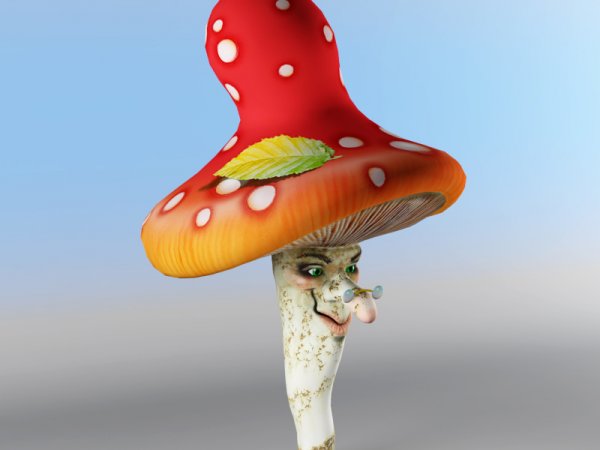 Фантазийные грибы