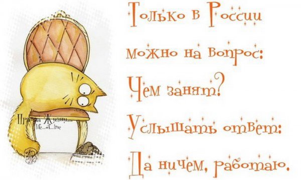 Картинки с прикольными фразами