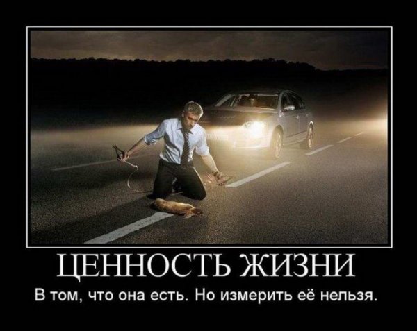 Демотиваторы про жизнь