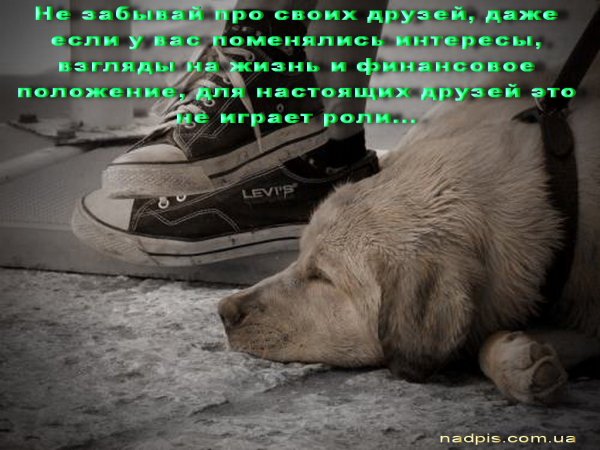 Прикольные картинки про жизнь