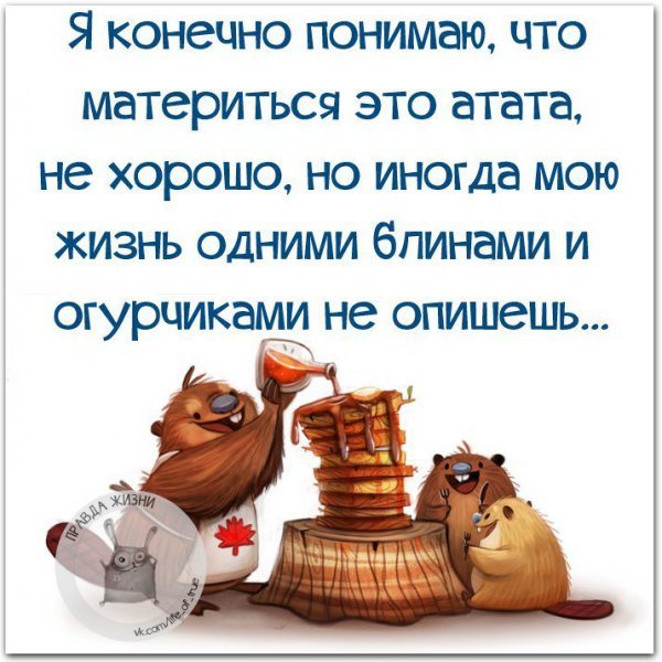 Высказывания о жизни с юмором