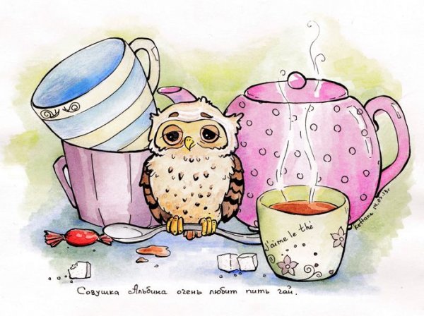 Совенок и чай