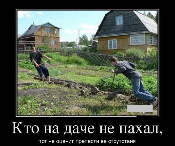 Приколы про дачу
