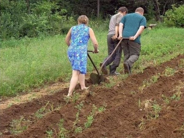 Пахать на даче