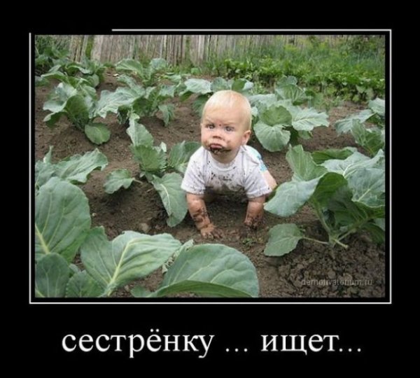 Огород юмор