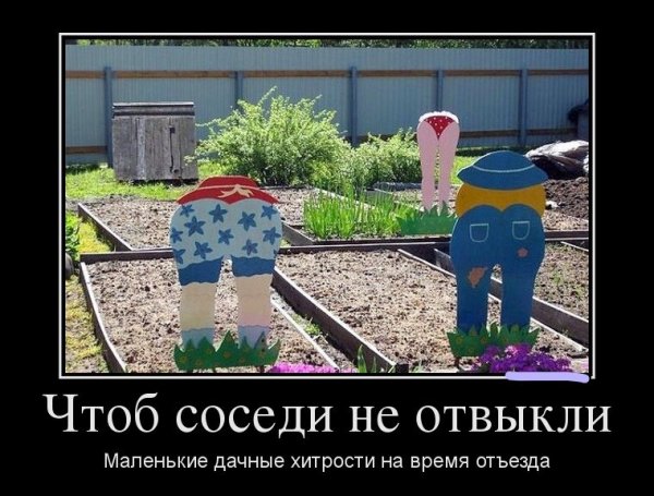 Приколы про дачу