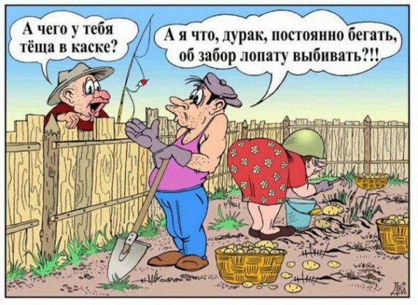 Анекдоты про дачников и огородников