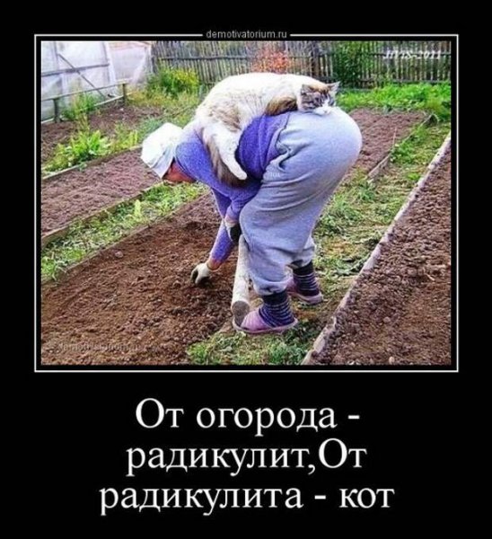 Огород юмор