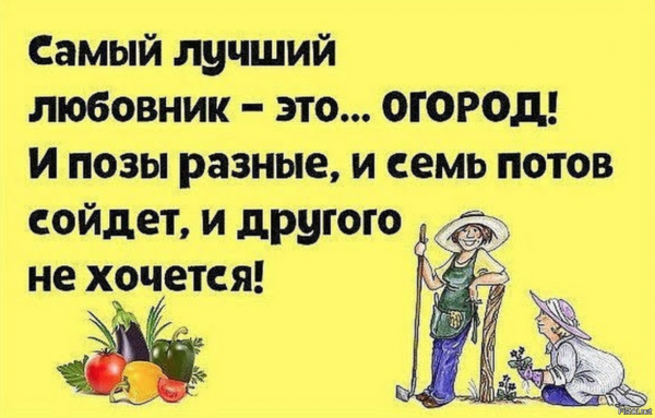 Анекдоты в картинках про огород