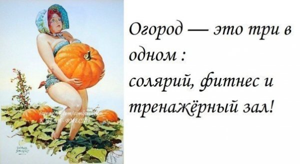 Фразы про огород