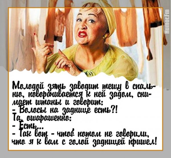 Анекдот про тещу и зятя