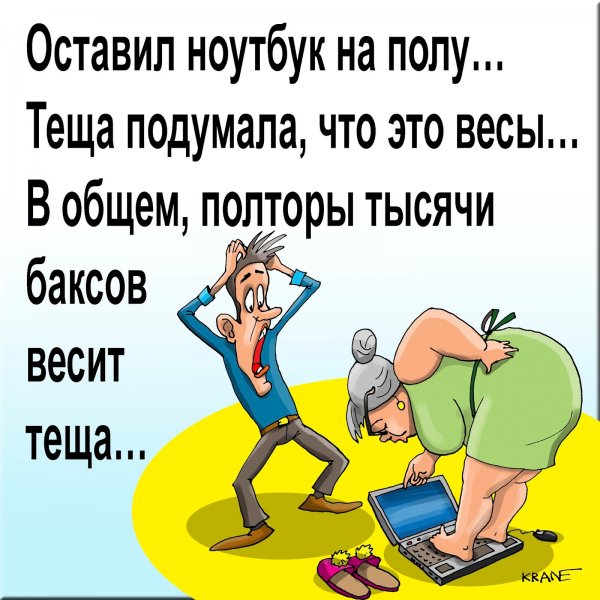 Тёща за компьютером юмор