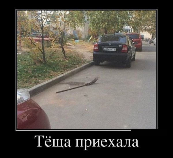 Демотиваторы про тещу