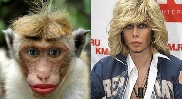 Смешные животные похожие на людей
