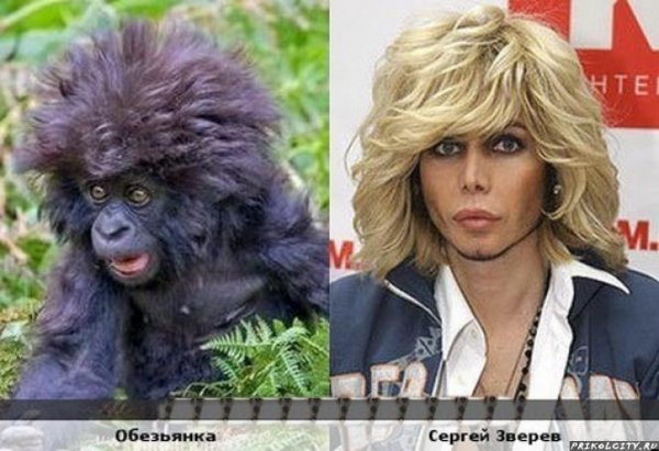 Сергей Зверев похож