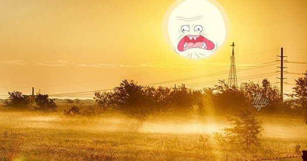 Солнце прикол
