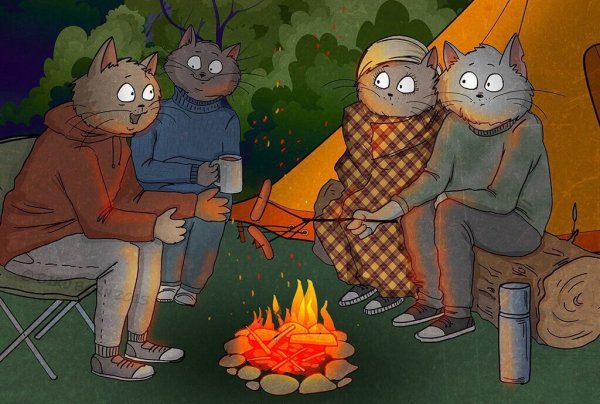Смешной поход