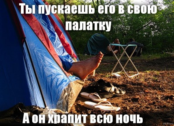 Мемы про палатку