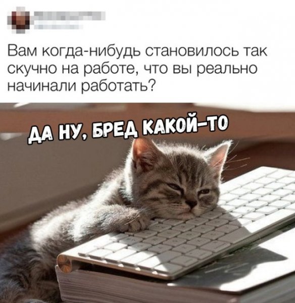 Скучно на раьгое прикол
