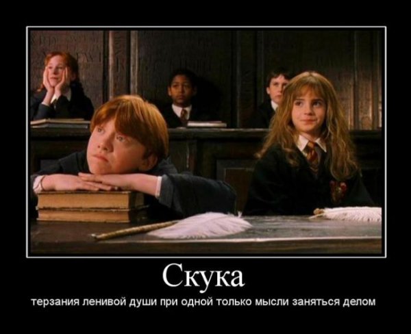 Гарри Поттер демотиваторы смешные