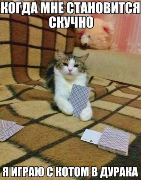 Скучно прикол