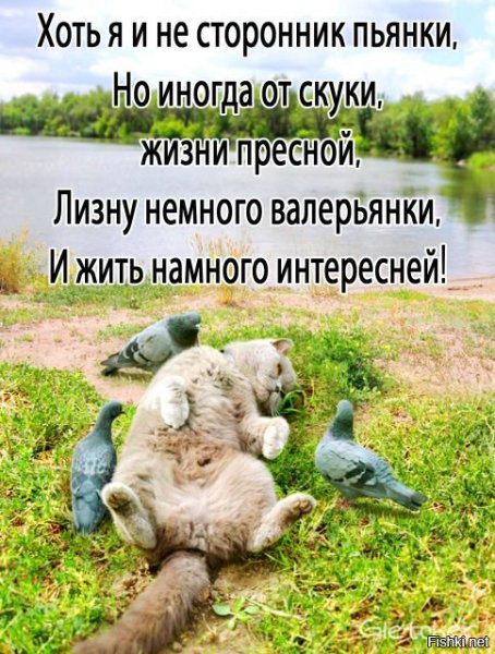 Смешные высказывания про скуку