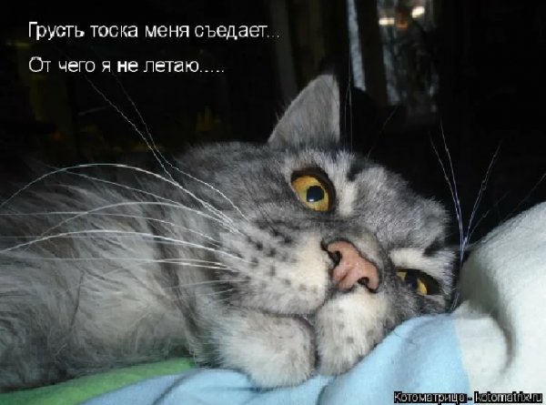 Тоска прикол