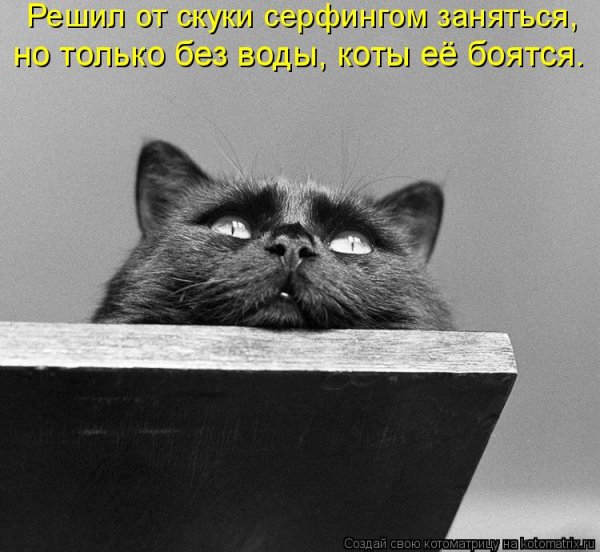 Цитаты про скуку смешные
