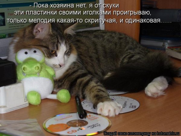 День заливной тоски
