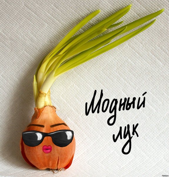 Луковица в очках