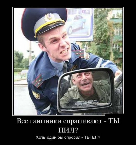 Демотиваторы про гаишников