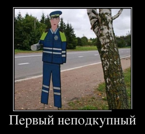 Демотиваторы про гаишников