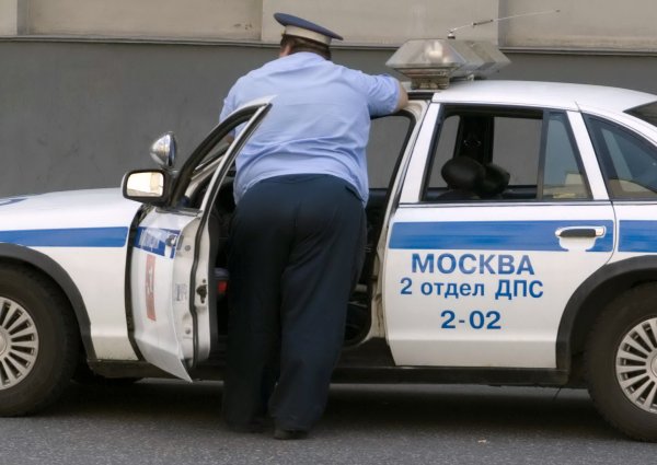 Анекдоты про ИТШНИКОВ