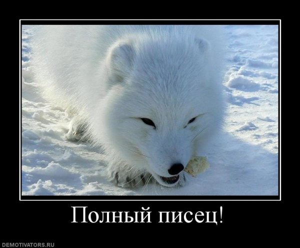 Так выглядит полный писец