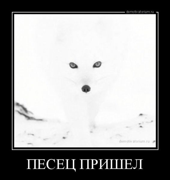 Прикольный писец