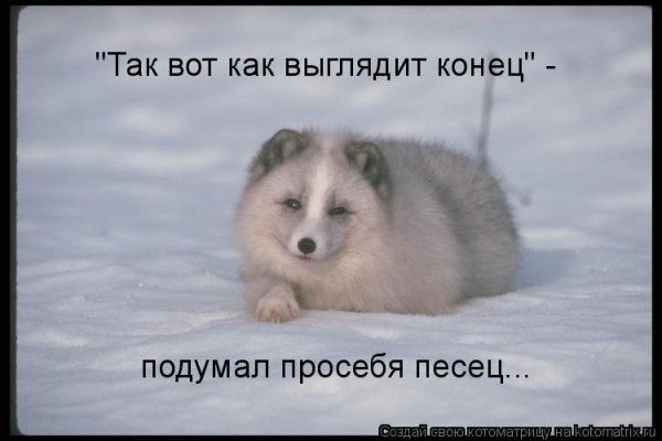 Писец пришел
