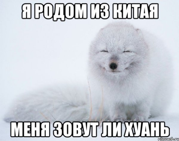 Писец Мем