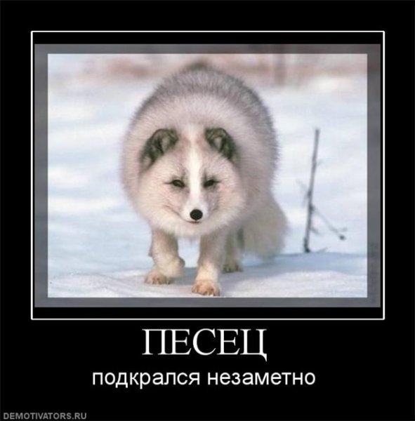 Писец подкрался незаметно