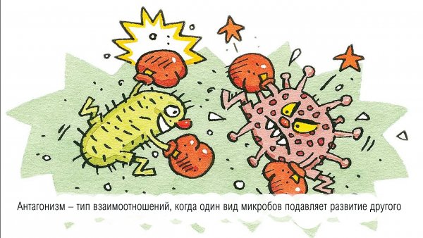 Добрые и злые бактерии