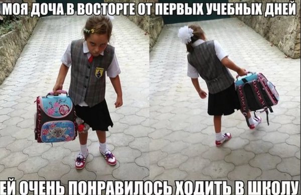 Скоро в школу смешные