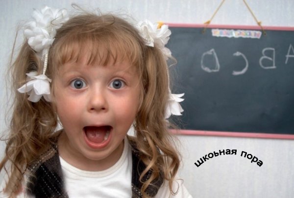 Школа удивление