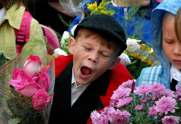 Смешные первоклассники