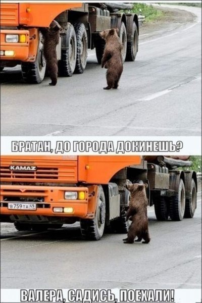 Приколюхи для водителя