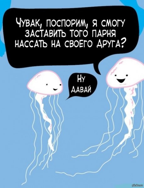 Шутки про медузу