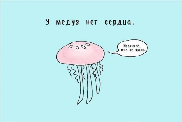 Мемы про медуз